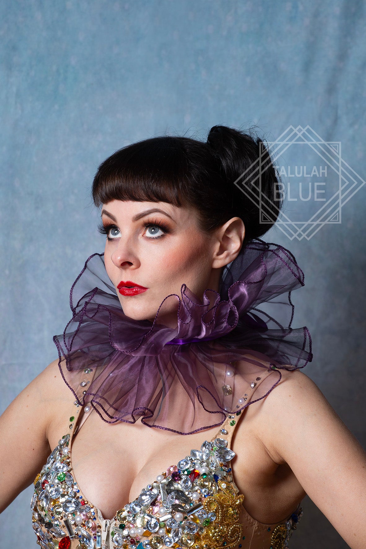 Multi-Coloured Neck ruffle costume