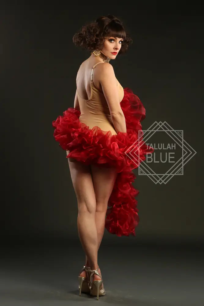 red wine organza burlesque boa