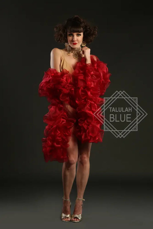 red wine organza burlesque boa