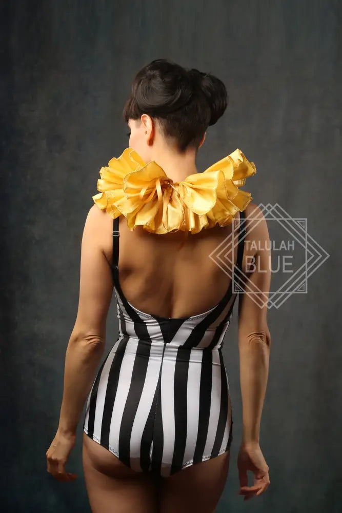 stripe_circus_leotard_costume