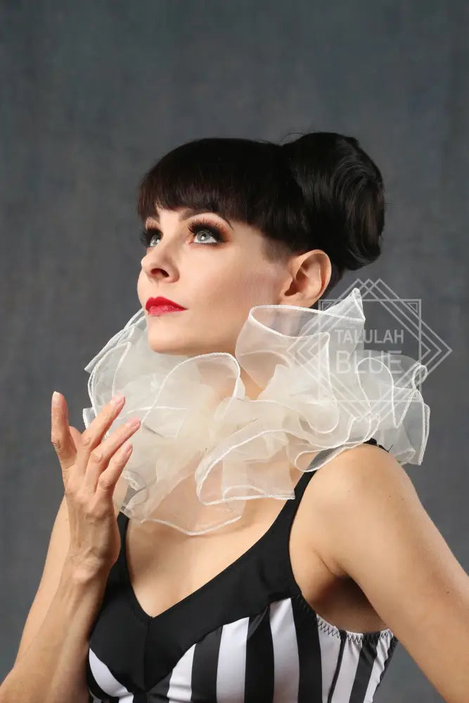Multi-Coloured Neck ruffle costume 14 inch / Cream ruff