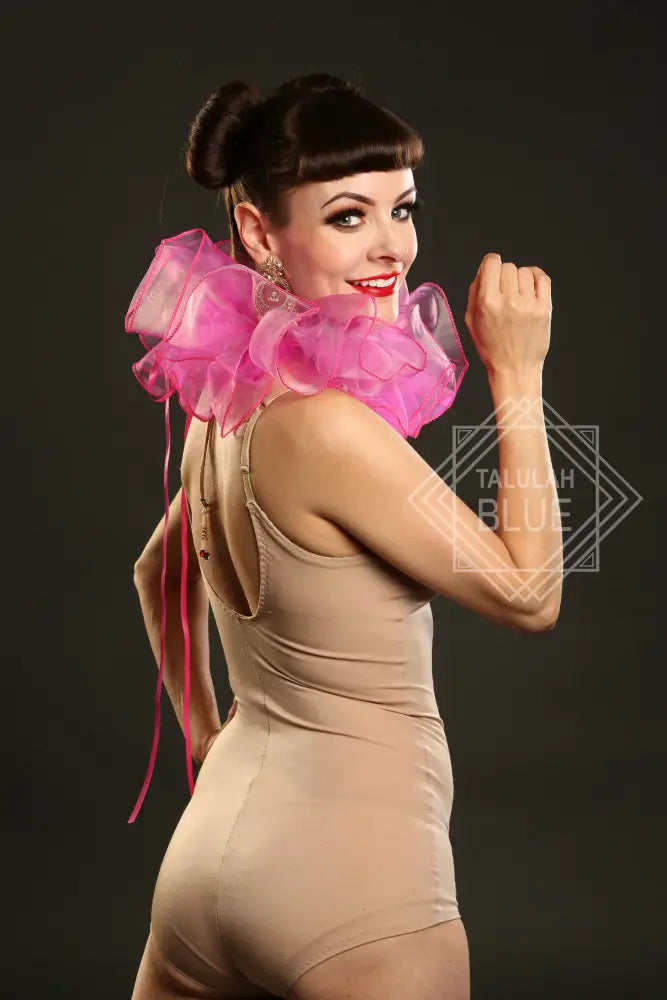 Multi-Coloured Neck ruffle costume ruff