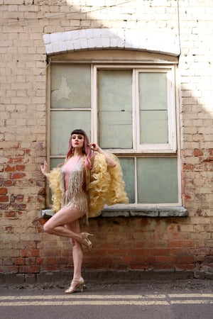 Gold Fringe Dance Leotard
